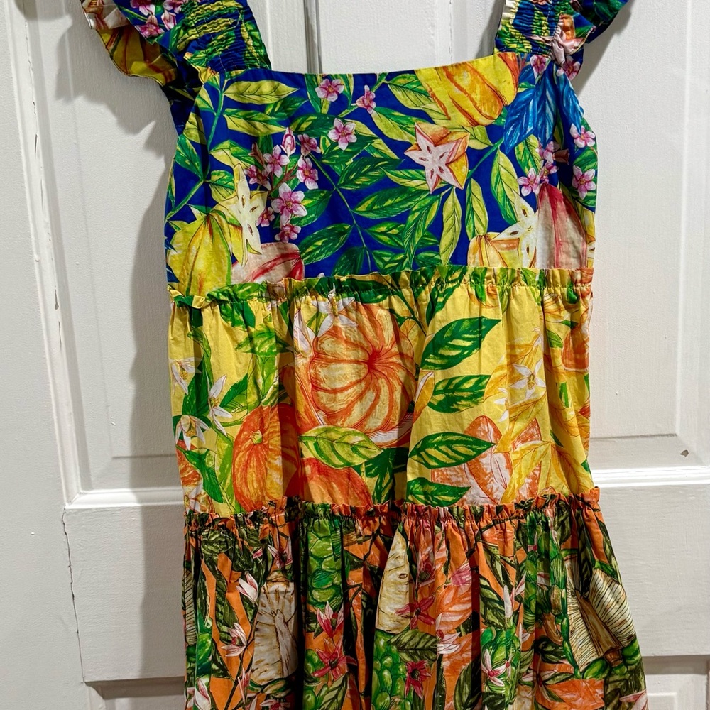 FARM Rio Multicolor Floral Mini Dress